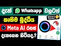 WhatsApp New Meta AI Update Explained in Sinhala | WhatsApp Meta AI Feature