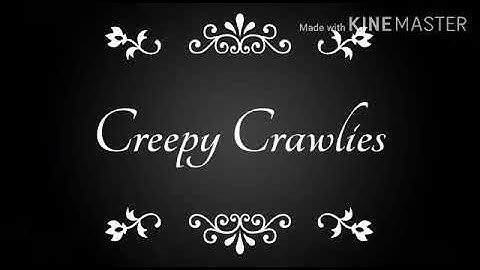 Class 3 EvS Ch-7(Animals in our lives; Creepy crawlies) By Aarushi Jain