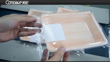 Full automatic flow packing machine with label