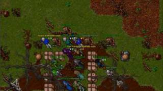 Tibia Pk Julera, Banshee quest team down