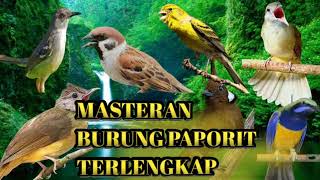 MASTERAN BURUNG TERLENGKAP-KENARI-CIBLEK-CILILIN-KAPASTEMBAK-CAK JENGGOT