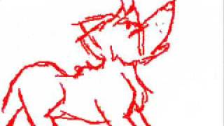 Failed DSI Animations.wmv