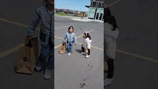 DSPOTTTT - Is Biggest Halal Scam Of 2024? #windsor #canada #usa #viralvideo #youtubeshorts