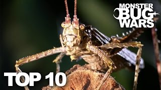 TOP 10 BUG FIGHTS | MONSTER BUG WARS screenshot 5