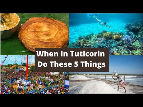 Top 5 Things To Do In Tuticorin (Not To Miss In Your Trip)