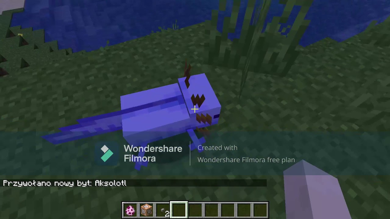 Jak przywołać niebieskiego aksolotla krok po kroku- Minecraft 1.17
