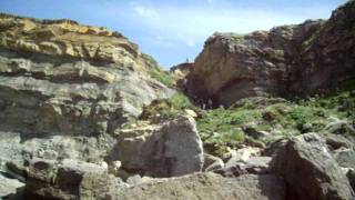 Si Todos Fuesemos Como Ellos