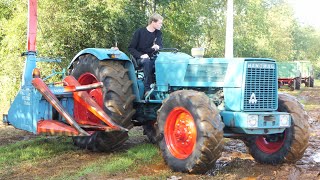 HANOMAG BRILLANT 700 Chopping Corn with Mengele Mais-Blitz MB350 Turbo