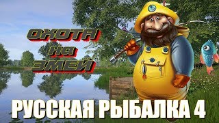 Русская Рыбалка 4 ⏪ ОХОТА НА ЗМЕЙ ⏩ РОЗЫГРЫШ STARIY (РР4,RF4)