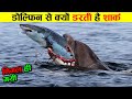 आखिर shark डॉलफिन से इतना डरती क्यों है shark vs dolphin who is more powerfull ! animals ! sea fish