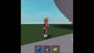 Stan Twitter/ Roblox girl glitches and flys