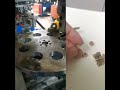 Wall Switch and Socket Brass Wiring Terminal Manufacturing Machine