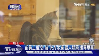 #獨家 心痛..貓咖啡廳遭爆「生病不醫2貓死.9貓用2盆」TVBS新聞 @TVBSNEWS01