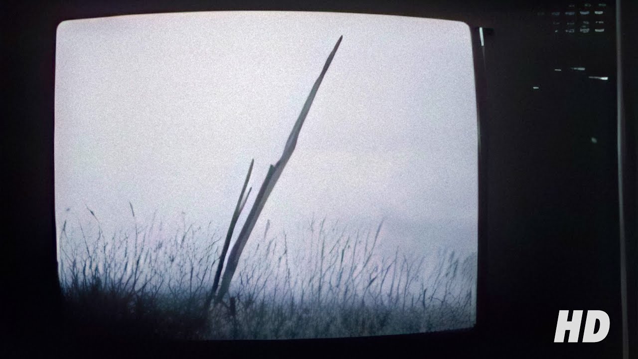 DIAFRAMMA - Siberia (Official Videoclip)