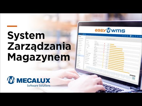 Wideo: Dyrektor wykonawczy. Obowiązki i prawa