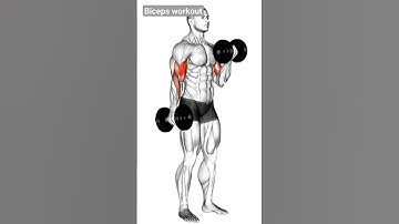 Biceps workout with dumbbells #shorts #youtubeshorts #fitness #animation