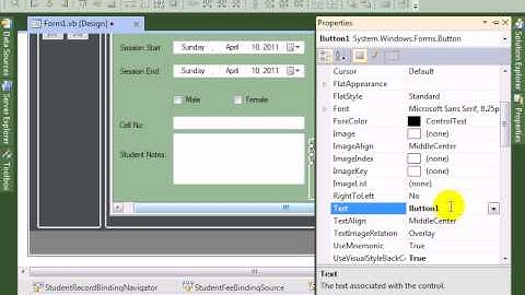Visual Studio 2010  tutorial Design Button