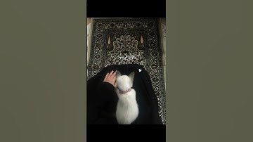 القارئ : أدهم النابلسي