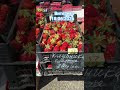 Клубника 250, дешевле уже не будет! #strawberry #клубника #витязево #привоз #рынок #цена