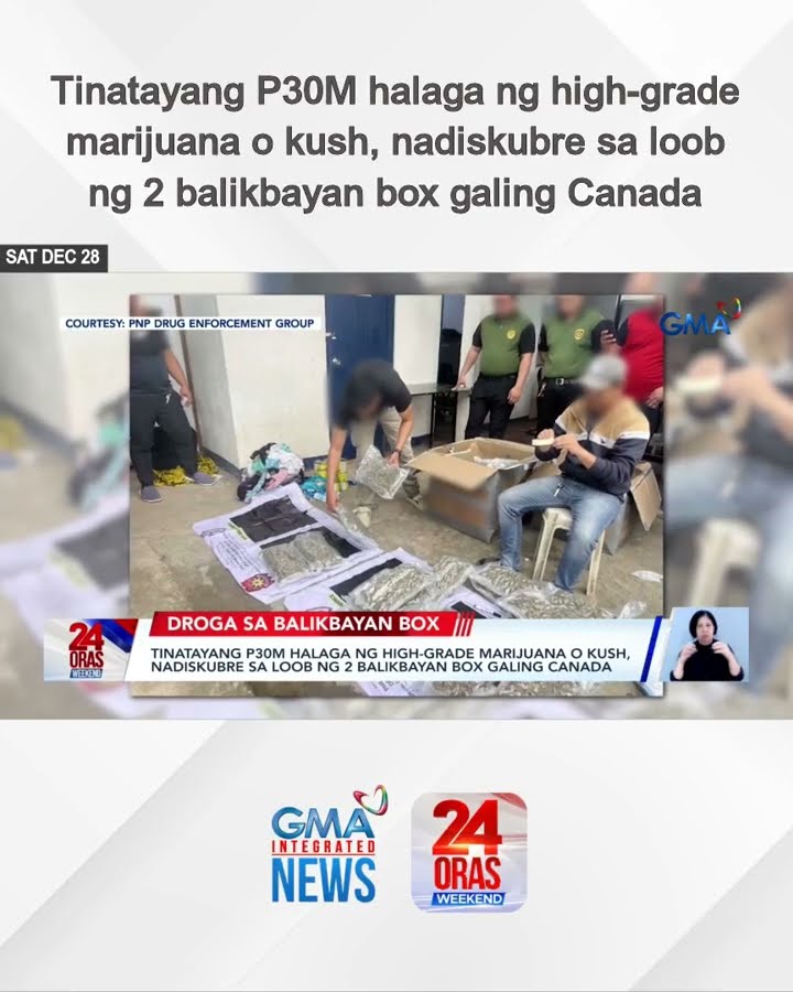 Tinatayang P30M halaga ng high-grade marijuana o kush, nadiskubre sa loob ng 2... | 24 Oras Weekend