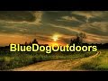 BlueDogOutdoors Introduction