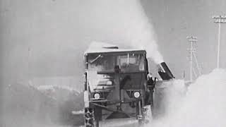 Unimog Anfangsjahre & Erste Erfolgsmodelle Wie Den U 401 Zeitreise 19461955