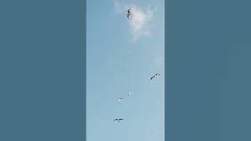 وشفتك بالسما نجما تطالعني ومبتسمة Shorts Subscribe 