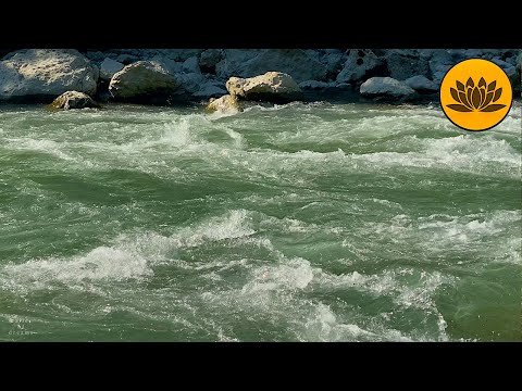 Video: Sulak-elven er en rekreasjons- og energiperle i Dagestan