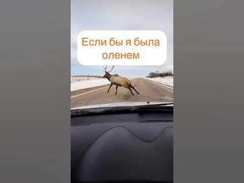 Чисто Я 😁 - YouTube