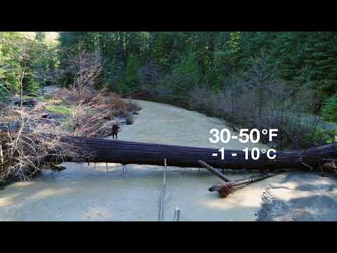 Video: Humboldt Redwoodsi looduspark: täielik juhend