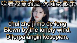 吹著寂寞的風 -大陆女歌手