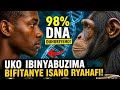 Impamvu Inguge Isa Nkumuntu Biratangaje Kandi Biteye Ubwoba 