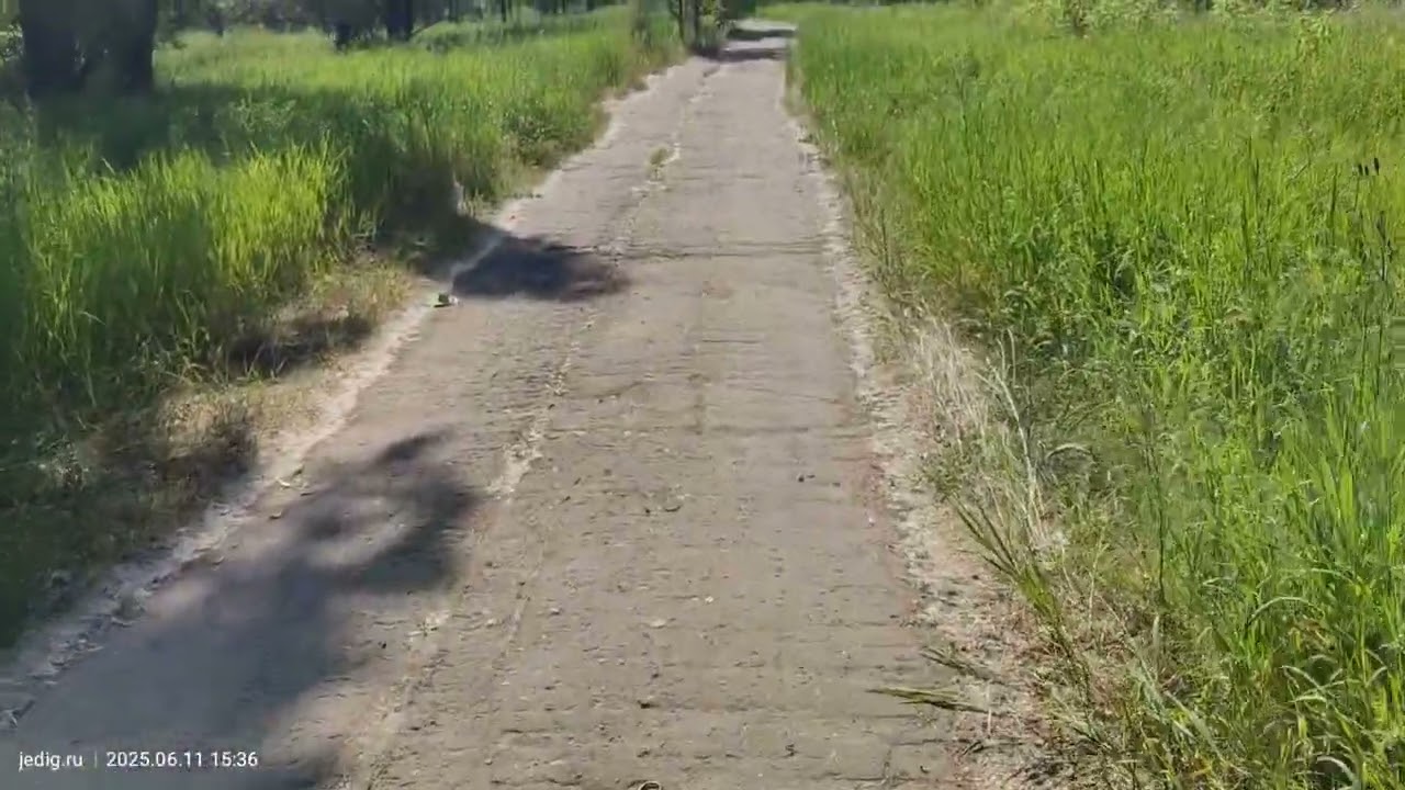 Прогулка по папку Победы. Омск. 11 июня 2025 года.