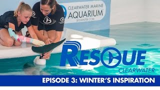 Winter's Inspiration - Rescue-Clearwater Season 1: Ep. 3