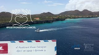 Go West Diving Curacao - A Postcard From Curacao, Episode 6 Dive Travel Curacao