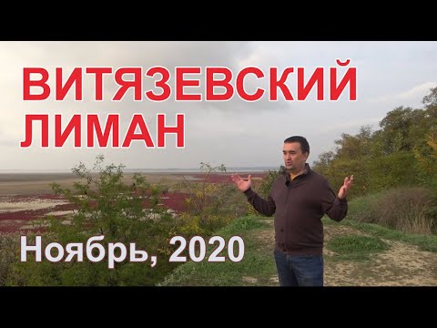 Жизнь в Витязево. Про лиман, комаров или о чём молчат местные жители...   Анапа 2020, ноябрь