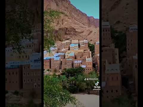 غلطه واحده مانعاودهاش