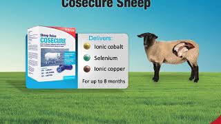 The Bimeda Trace Element Bolus Range For Sheep