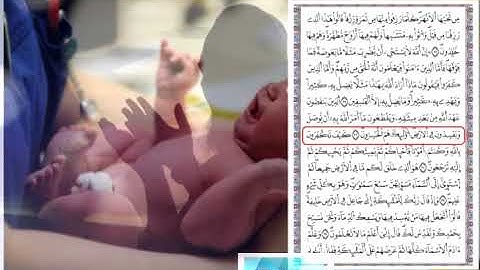 سورة البقرة-2 - القارئ العيون الكوشي -رواية ورش