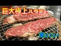 #19【焼肉】【肉テロ】大阪の巨大極上ハラミの作り方❗/How to make wagyu yakiniku/Food stand/Cooking Grilled meat