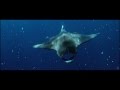 Nature 1080p HD