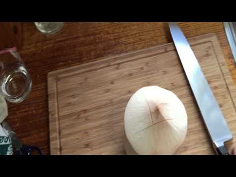 How to open up a coconut for water