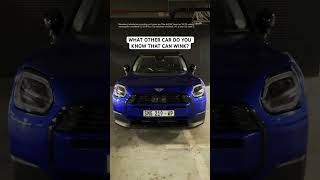 Mini Countryman Winks You Melt