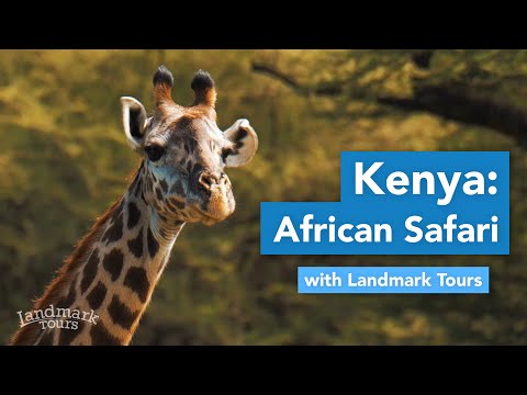 Kenya African Safari Adventure