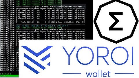 Fast Ergo Mining Setup - Wallet and Miner in 10 min!!