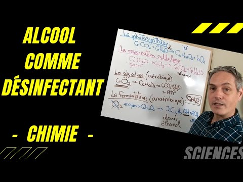 Vidéo: Décomposer Ce Qui Est Considéré Comme Essentiel Dans L'industrie Du Vin Pendant La Pandémie