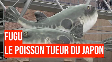 Qui peut cuisiner le fugu ?