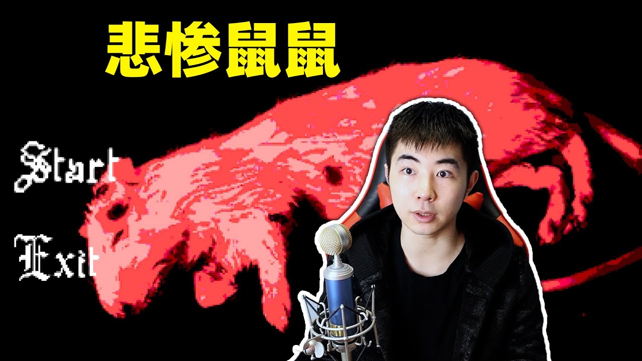 两只尾巴被绑定在一起的鼠鼠，结束了悲惨的一生 | rattenkonig - YouTube