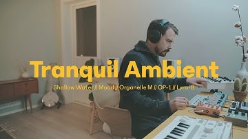 Tranquil Ambient - Lyra-8 // OP-1 // Organelle M