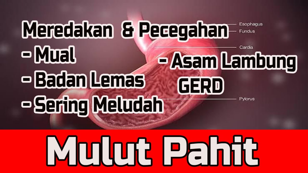 Tahukah Anda Penyebab Mulut Terasa Pahit? YouTube